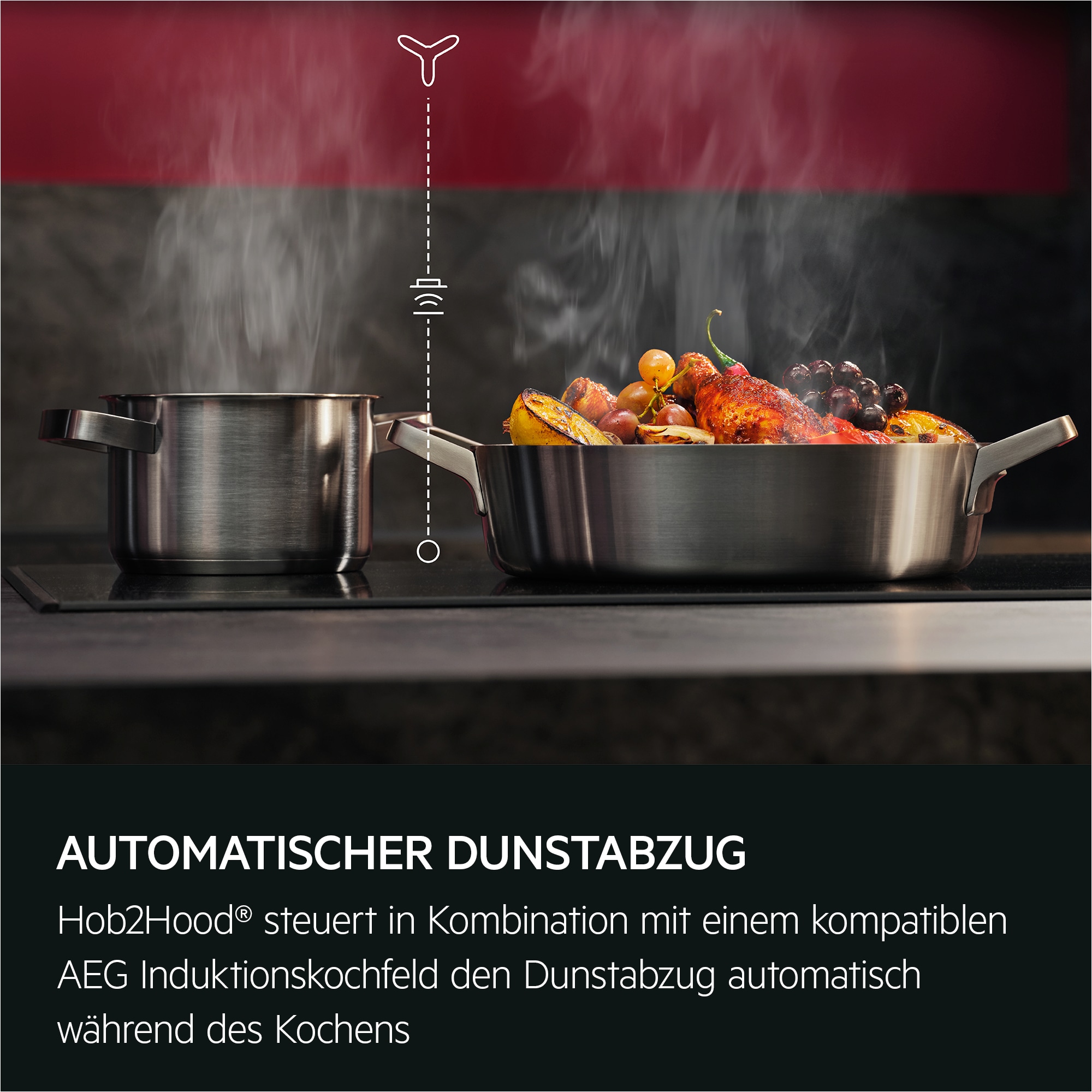 AEG - Wand-Dunstabzugshauben - DKC8971B