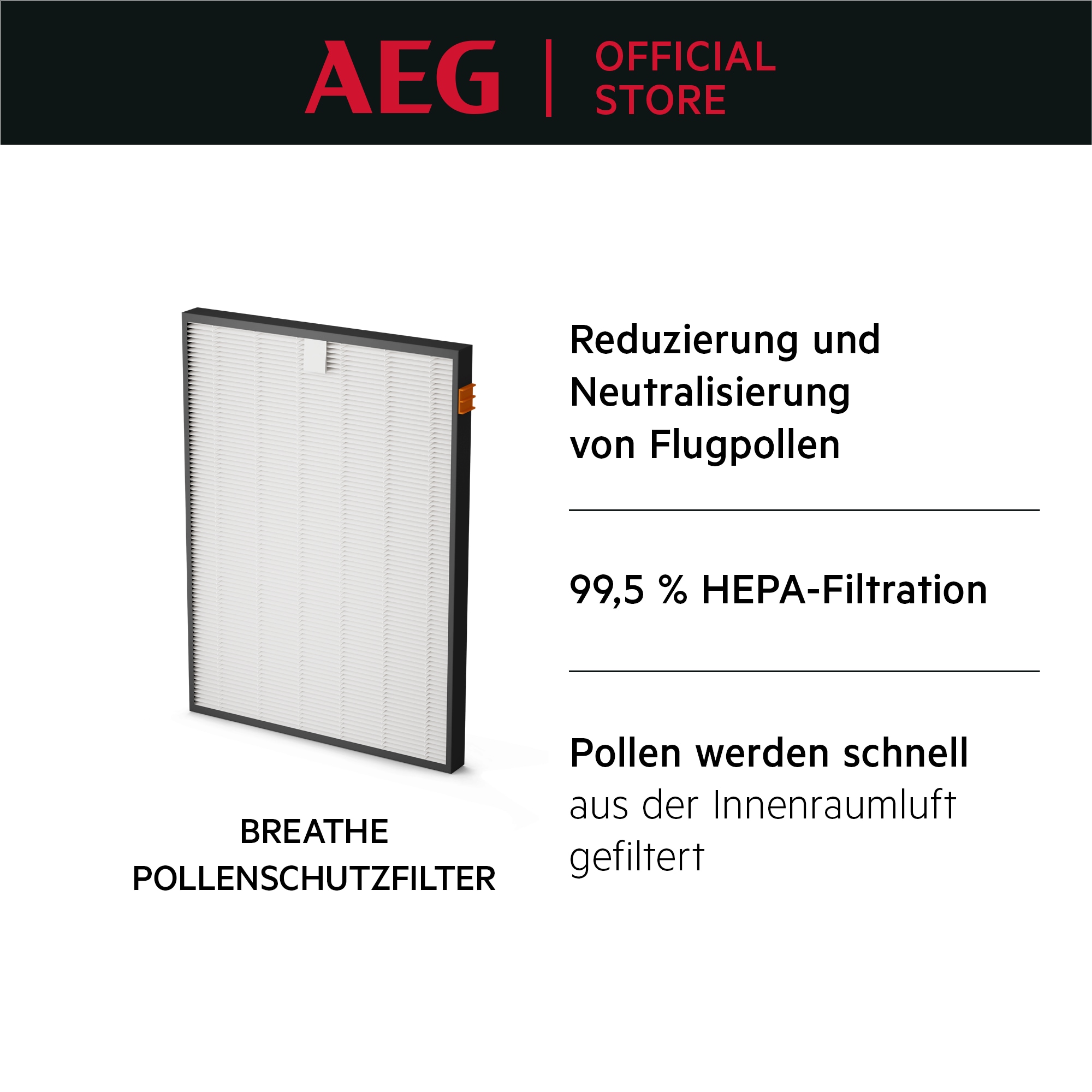 AEG - Filter für Luftreiniger - AFWBTH5